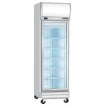 1 Door DISPLAY FREEZER - E-SERIES